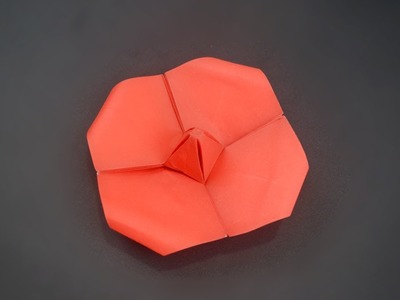 Origami: Poppy Flower - Instruction in English (BR)
