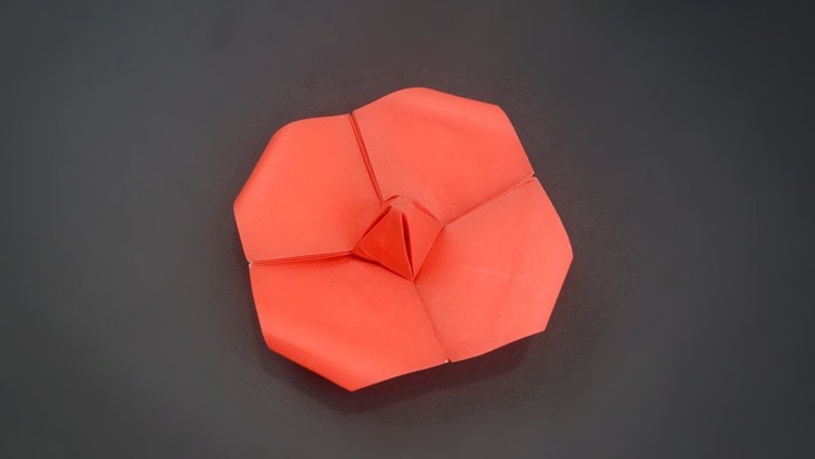 Origami: Poppy Flower - Instruction in English (BR)