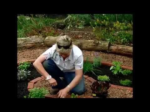 The Gardener Magazine: Making A Keyhole Herb Garden