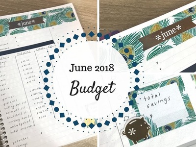 June 2018 Budget | Erin Condren Deluxe Monthly Planner |