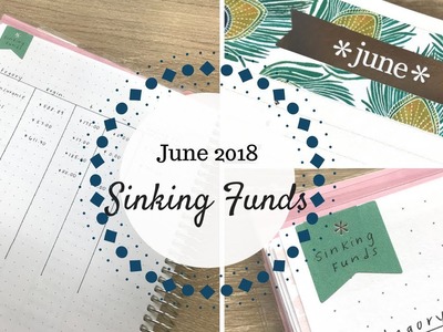June 2018 Sinking Funds | Erin Condren Deluxe Monthly Planner |