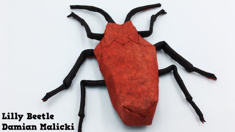Origami Lilly Beetle Tutorial (Damian Malicki)