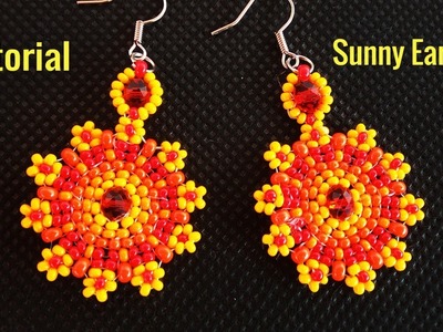 Crystals And Seed Beads Earrings - Tutorial