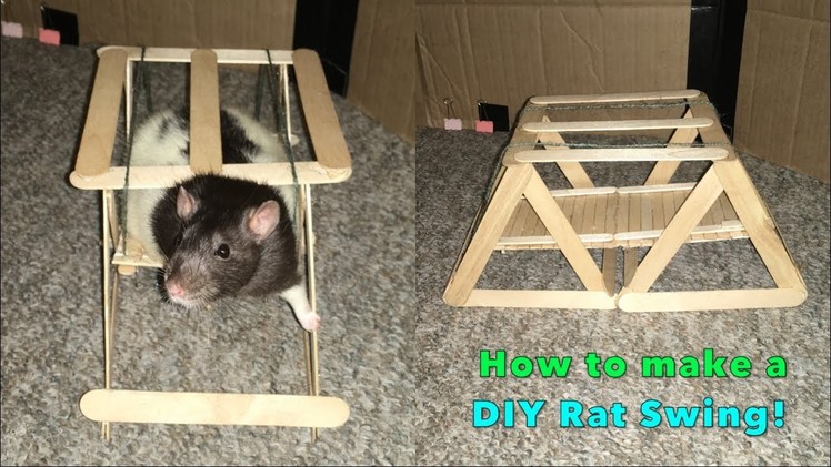 How to Make a DIY Swing for Pet Rats
