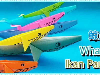 折纸鲸鱼 Origami Whale