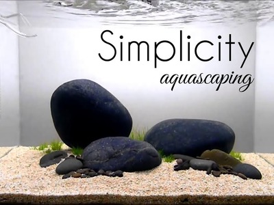Aquascaping GAME OF RIVER STONE (SIMPLICITY)