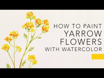 EASY watercolor flower tutorial: YARROWS