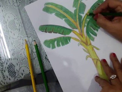 How to draw a Banana Tree