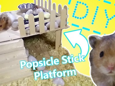 How To Make Popsicle Stick Platform For Hamsters | DIY Popsicle Stick Platform For Hamster
