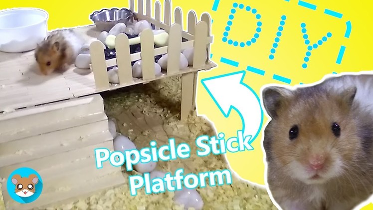 How To Make Popsicle Stick Platform For Hamsters | DIY Popsicle Stick Platform For Hamster