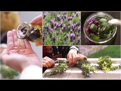 My Garden Diary: Herbal Infusions & Tea