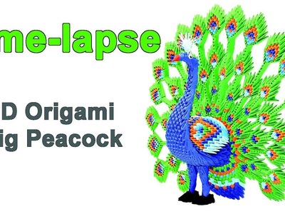 Origami 3d Big Peacock Time-lapse
