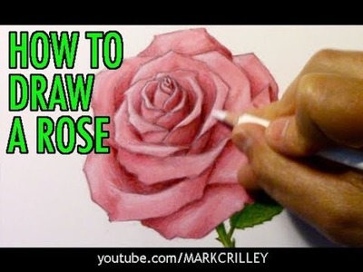 How to Draw a Rose (and Add Color)