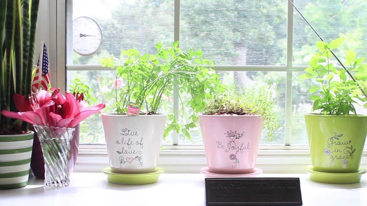How To Grow Plants Inside | Window Sill Gardening Part 1
