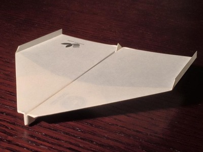 Sky King World Record Paper Airplane Test Flight