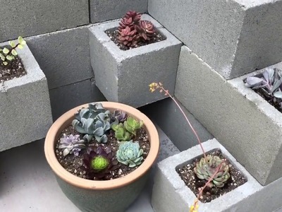 Cinder Block Planter | Garden DIY