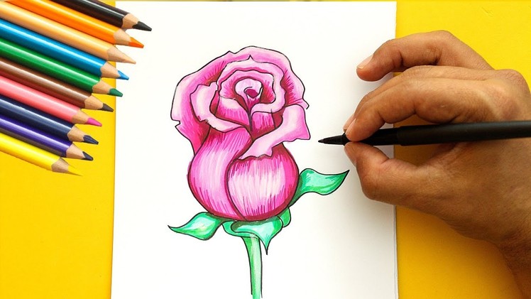 How to draw a Rose - Como Dibujar una Rosa - Dibujos faciles - Easy Art