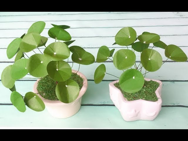 ABC TV | How To Make Chinese Money Plant With Shape Punch - Craft Tutorial