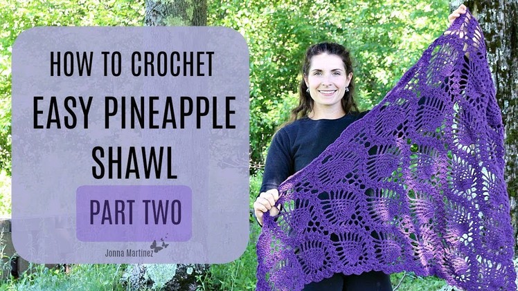Easy Crochet Pineapple Shawl Part 2