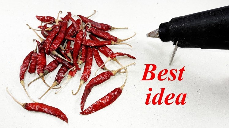 Awesome Craft Idea With dry chilli | DIY arts and crafts | best Craft Idea | Diy home deco