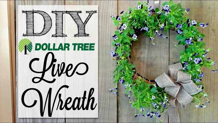 DIY Live Flower Wreath | Dollar Tree Craft