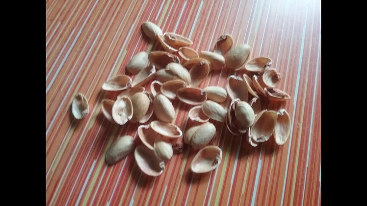 DIY Pista shells craft ideas l pistachio reuse ideas l very easy DIY l Best out of the waste l