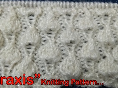 Praxis  Beautiful Knitting pattern Design 2018