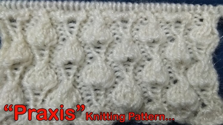 Praxis  Beautiful Knitting pattern Design 2018