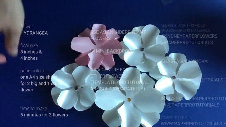 Hydrangea Paper Flower video tutorial_how to make a paper flower