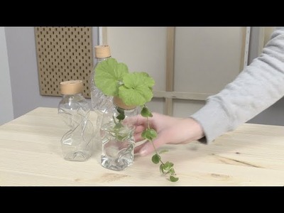 Panduro DIY – Plastic Bottle Vases
