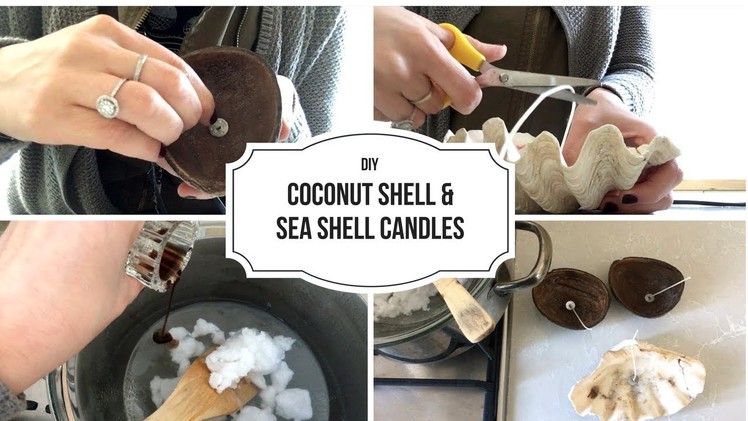 DIY Candle Making | How to Make Candles Using Coconut and Sea Shells | ®The Craft Kingdom - Official