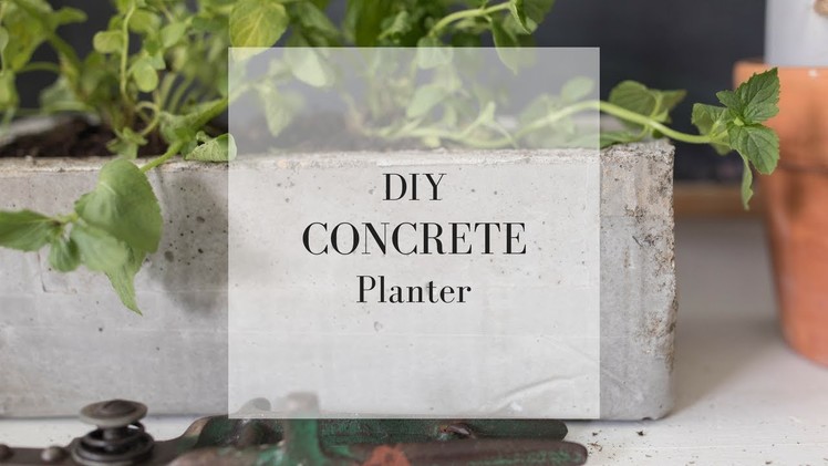 DIY Concrete Planter | CONCRETE DIY IDEAS