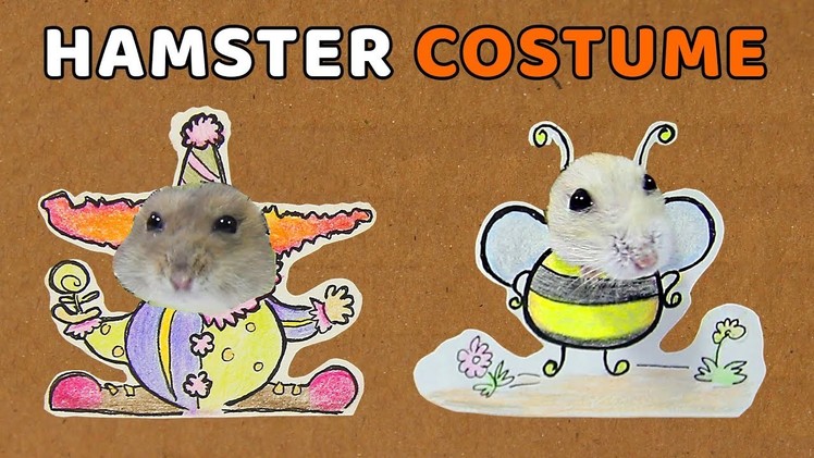 Making Costume For Cute Hamsters- DIY Hamster Toys