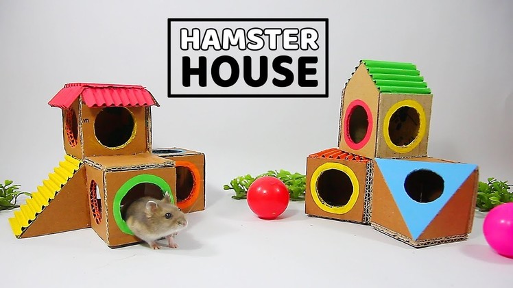 Building The Hamster's Resort From Cardboard- DIY Hamster House