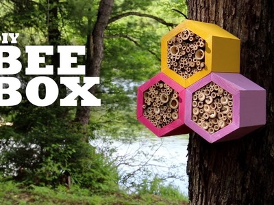 DIY Bee Box