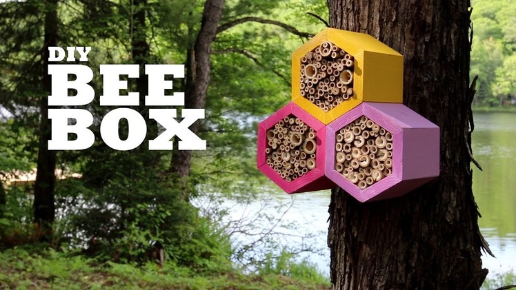 DIY Bee Box