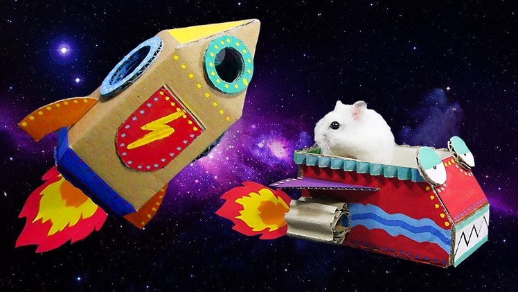 Easy DIY Life Hack- Making Spaceship For Hamster Playing