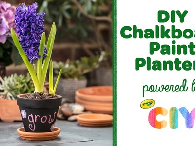 DIY Chalkboard Paint Planters || Crayola CIY: Create It Yourself