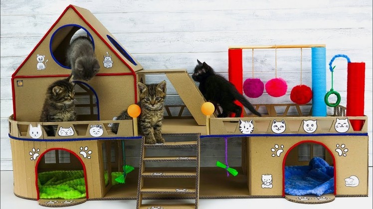 DIY Creative Cat House for Four Adorable Kittens