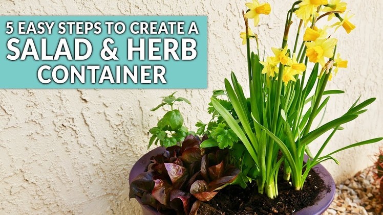 An Easy DIY Salad & Herb Container Garden For Spring. Joy Us Garden