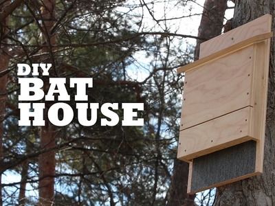 DIY Bat House