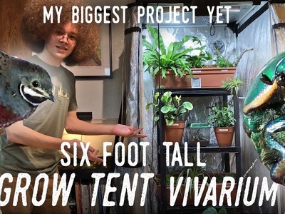DIY "GROW TENT" VIVARIUM - My Biggest Project EVER!