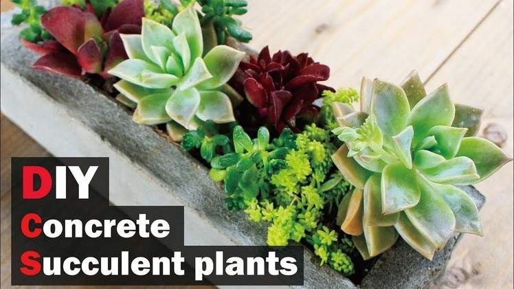 【コンクリートDIY】多肉植物で彩る.Use succulent concrete to color succulent plants　concrete ART