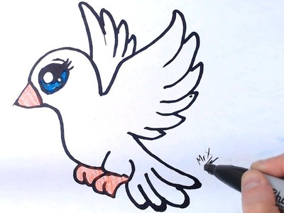 How to Draw Dove (Easy) - Step by Step Tutorial