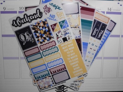 Plan With Me | Wizards Collection (CricketPaperCo.) | Erin Condren Life Planner