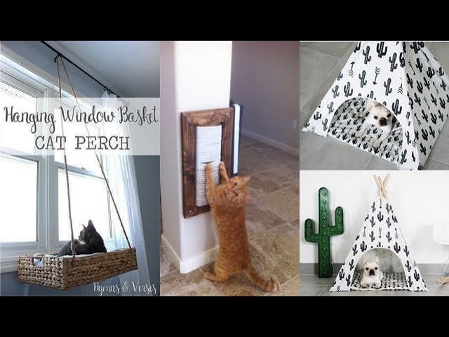 DIY ROOM DECOR! 10 DIY Projects For dog and cat Owners