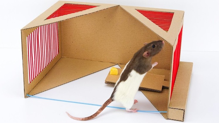How to Make  Rat Trap  from Cardboard