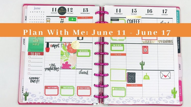 Plan With Me | June 11th - June 17th | Classic Happy Planner | Organized Alaina