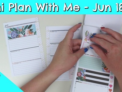 Happy Planner Mini Plan With Me  - Jun 18 - 24
