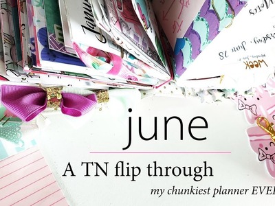 June Flip Through | My Chunkiest Planner EVER!